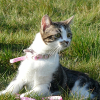 Photo #194411 de Sita