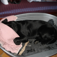 Photo #194451 de Ci belle