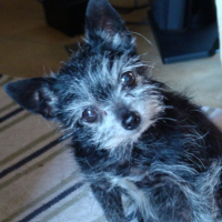 Photo #194458 de Belle