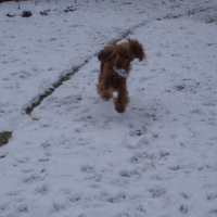 Photo #194486 de Djazy