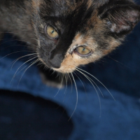 Photo #194521 de Fouffe