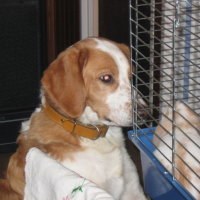 Photo #194549 de Pumba