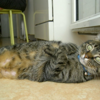 Photo #194638 de Mia