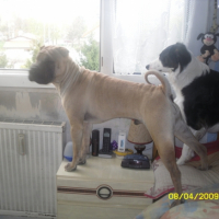 Photo #194658 de Dixi
