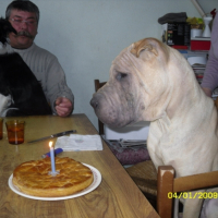 Photo #194683 de Dixi