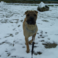 Photo #194693 de Dixi