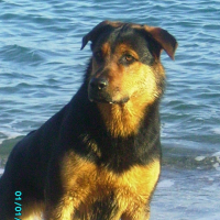 Photo #194716 de Borra