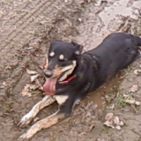 Photo #194793 de Betty