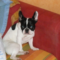 Photo #194824 de Lana