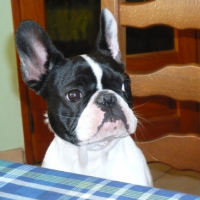 Photo #194828 de Lana