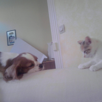 Photo #194831 de Extasy