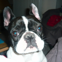Photo #194840 de Lana