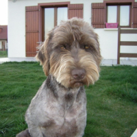 Photo #194866 de Canelle