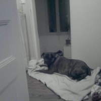 Photo #194870 de Torride