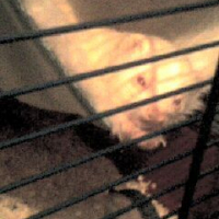 Photo #194871 de Luka