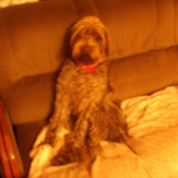 Photo #194877 de Canelle