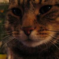 Photo #194946 de Charly