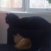 Photo #194991 de Caramel