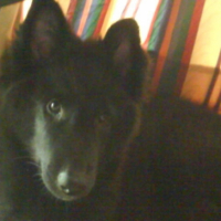 Photo #195038 de Ikkyo