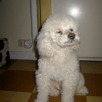Photo #195063 de Lucky