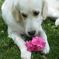 Photo #195102 de Caly