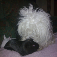Photo #195104 de Christel