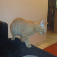 Photo #195130 de Caramel