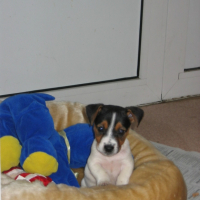Photo #195141 de Bounty