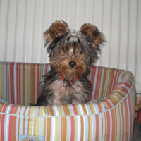 Photo #195159 de Enora