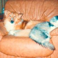 Photo #195178 de Nini