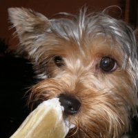 Photo #195179 de Enora