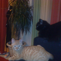 Photo #195199 de Caramel
