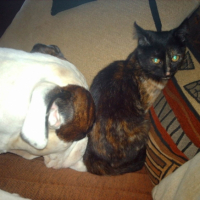 Photo #195229 de Glucky