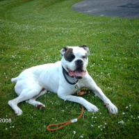 Photo #195249 de Veron
