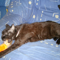 Photo #195256 de Tina