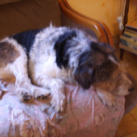 Photo #195282 de Rita
