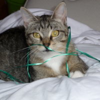 Photo #195317 de Sacha