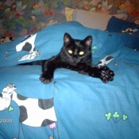 Photo #195322 de Chanel