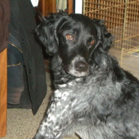 Photo #195335 de Vicky
