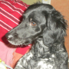 DSCN0253