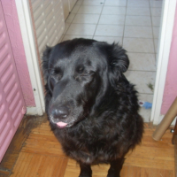Photo #195344 de Daphnnee