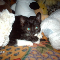 Photo #195349 de Pacha