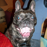 Photo #195350 de Vito