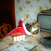 Photo #195352 de Gardfield