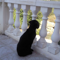 Photo #195371 de Eros