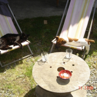 Photo #195473 de écko