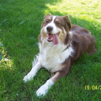 Photo #195479 de Praline