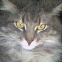 Photo #195548 de Banabis