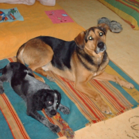 Photo #195550 de Crispy