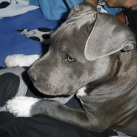 Photo #195554 de Ekon